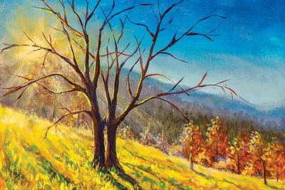 Old Big Tree In Sunny Day Without Leaves by Valery Rybakow canvas print