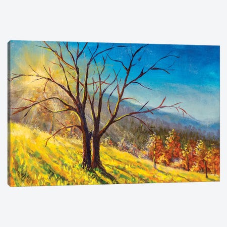 Old Big Tree In Sunny Day Without Leaves Canvas Print #VRY466} by Valery Rybakow Art Print