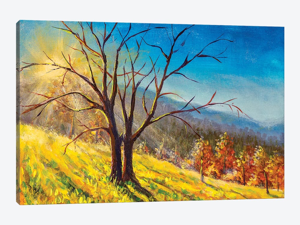 Old Big Tree In Sunny Day Without Leaves by Valery Rybakow 1-piece Art Print
