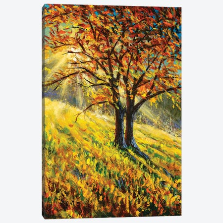 Bright Autumn Landscape Canvas Print #VRY467} by Valery Rybakow Canvas Art Print