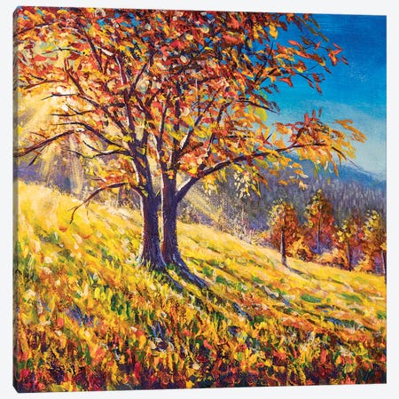 Fantastic Sunset With Autumn Tree Canvas Print #VRY468} by Valery Rybakow Canvas Artwork