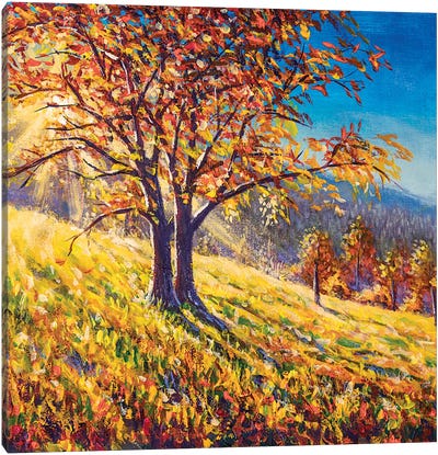 Fantastic Sunset With Autumn Tree Canvas Art Print - Thanksgiving Art