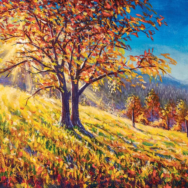 Valery Rybakow: Fantastic Sunset With Autumn Tree by Valery Rybakow