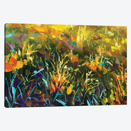 Grass Flowers In Rays Of Sun Canvas Print #VRY473} by Valery Rybakow Canvas Art Print