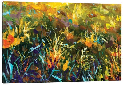 Grass Flowers In Rays Of Sun Canvas Art Print - Grass Art