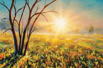 Beautiful Tree On Sunny Summer Spring Meadow by Valery Rybakow canvas print