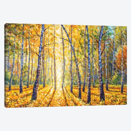 Autumn Birch Forest Canvas Print #VRY476} by Valery Rybakow Canvas Art