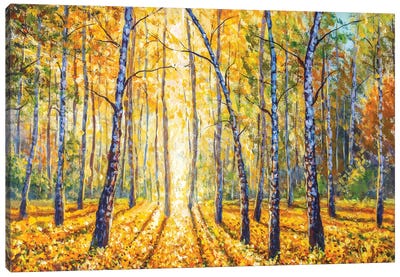 Autumn Birch Forest Canvas Art Print