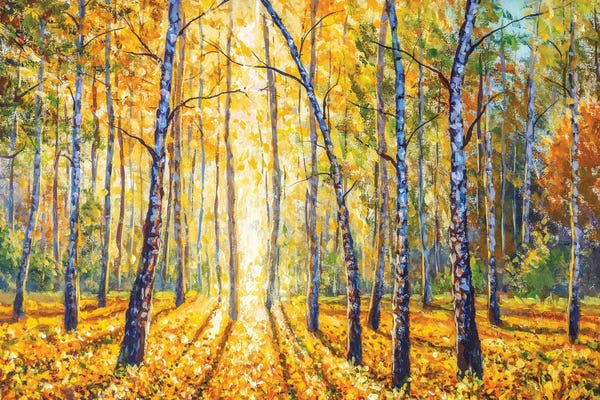 Birch Trees: Autumn Birch Forest by Valery Rybakow