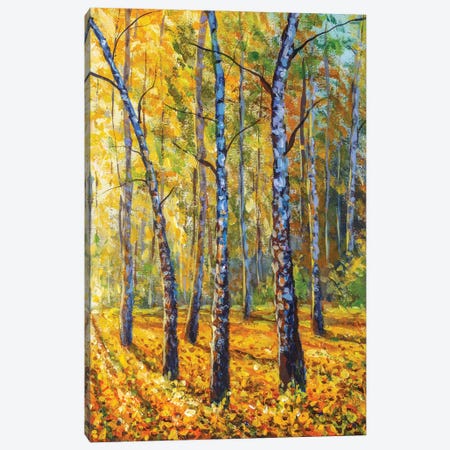 Autumn Forest With Birch Trees Canvas Print #VRY477} by Valery Rybakow Canvas Artwork