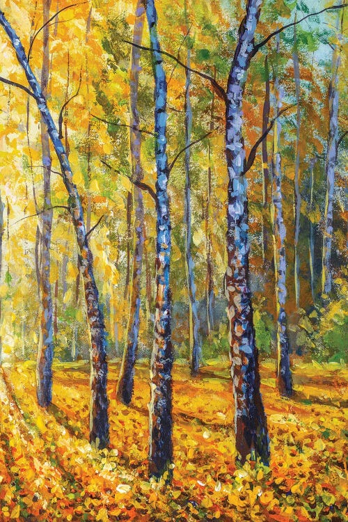 Autumn Forest With Birch Trees