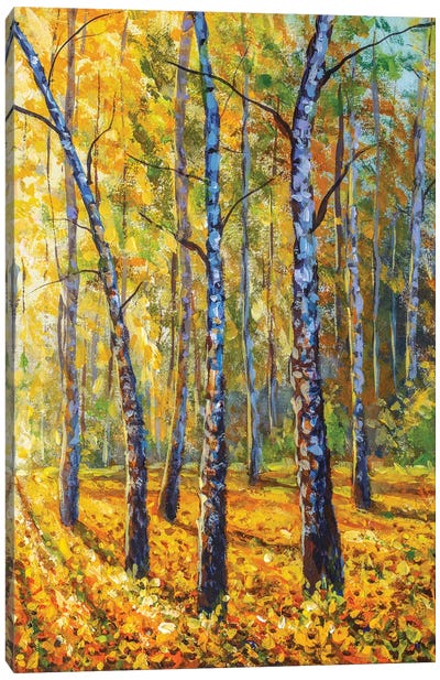 Autumn Forest With Birch Trees Canvas Art Print - Valery Rybakow