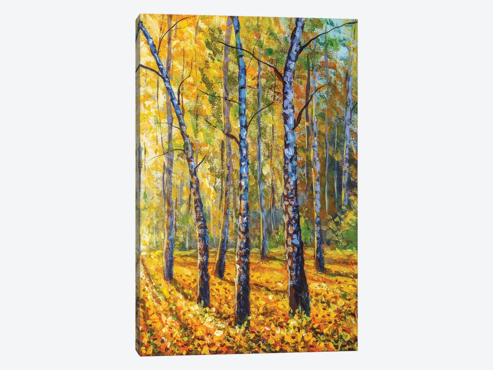 Autumn Forest With Birch Trees by Valery Rybakow 1-piece Canvas Art Print