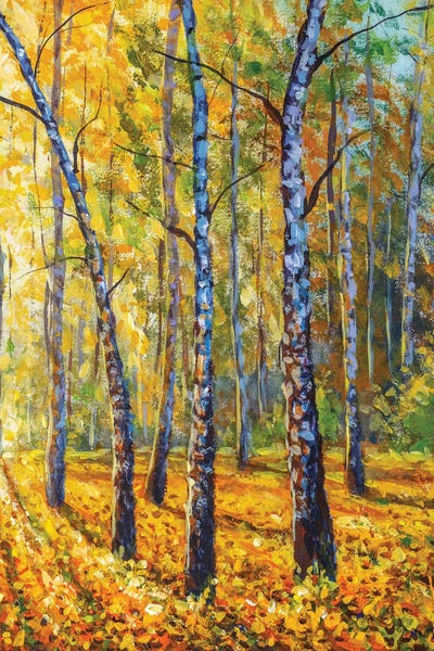 Autumn Forest With Birch Trees