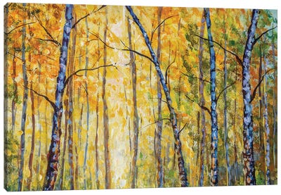 Beautiful Autumn Park With Birch Tree Modern Artwork Canvas Art Print - Birch Tree Art