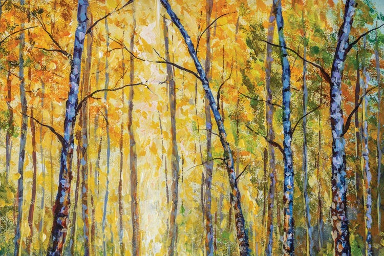 Beautiful Autumn Park With Birch Tree Modern Artwork