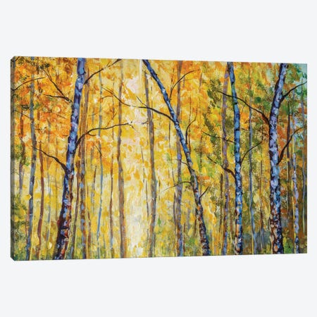 Beautiful Autumn Park With Birch Tree Modern Artwork Canvas Print #VRY478} by Valery Rybakow Canvas Art Print