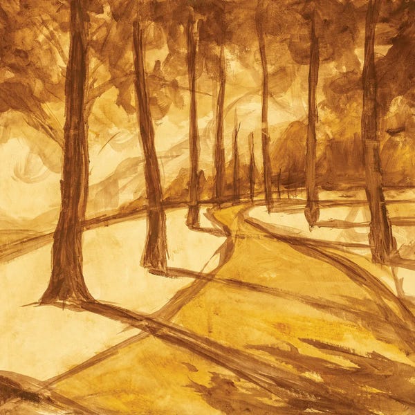 Valery Rybakow: Hiking Trail In A Sunny Forest by Valery Rybakow