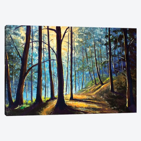Foggy forest with sunny sunshine trees modern art Canvas Print #VRY492} by Valery Rybakow Art Print