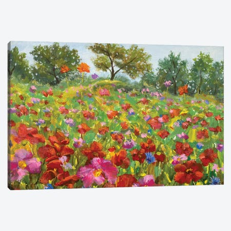 beautiful blooming Wildflowers field Canvas Print #VRY499} by Valery Rybakow Canvas Print