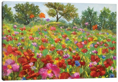 beautiful blooming Wildflowers field Canvas Art Print - Valery Rybakow
