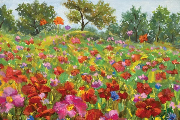 Poppies: beautiful blooming Wildflowers field by Valery Rybakow