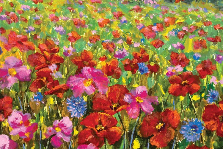 beautiful big red red poppies field flowers by Valery Rybakow wall art