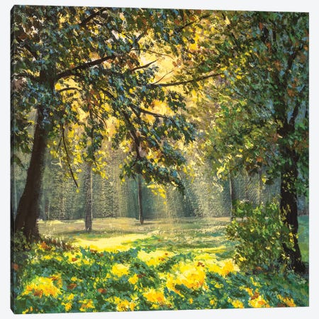 Magic light in natural park modern fine art Canvas Print #VRY503} by Valery Rybakow Canvas Print
