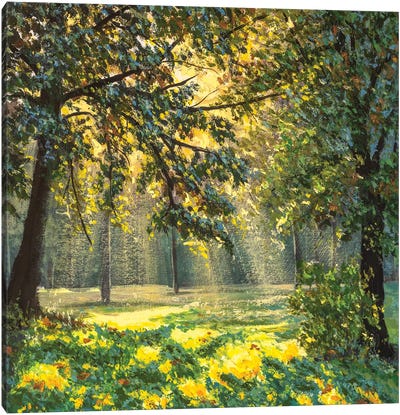 Magic light in natural park modern fine art Canvas Art Print - Valery Rybakow