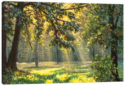sunlight through trees Canvas Art Print - Valery Rybakow
