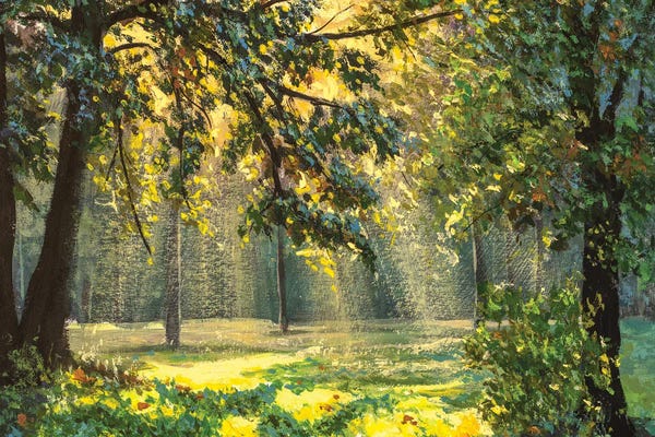 Forests: sunlight through trees by Valery Rybakow