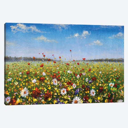 Flower Painting Wildflowers White Daisies, Red Poppies And Yellow Beautiful Flowers In Grass Canvas Print #VRY530} by Valery Rybakow Canvas Art