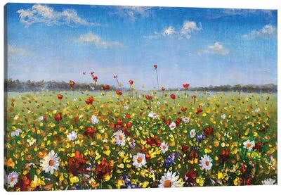 Meadow Of White Daisies, Red Poppies And Yellow Wildflowers Canvas Art Print