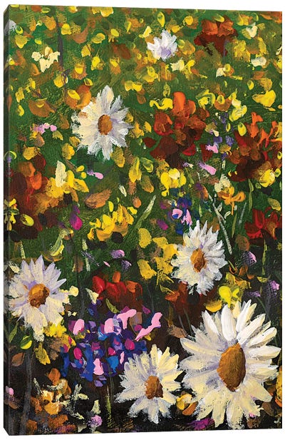 Beautiful Field Flowers On Canvas Canvas Art Print - Daisy Art