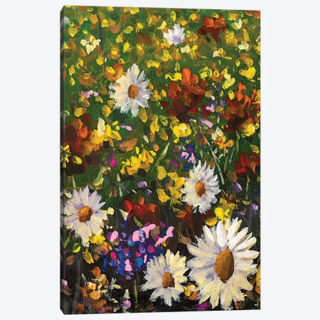 Beautiful Field Flowers On Canvas Canvas Print #VRY532} by Valery Rybakow Canvas Wall Art