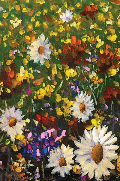 Valery Rybakow: Beautiful Field Flowers On Canvas by Valery Rybakow