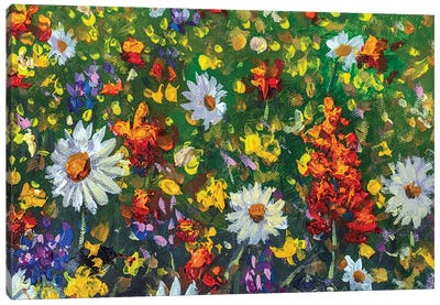 Wildflowers In Grass Canvas Art Print - Daisy Art