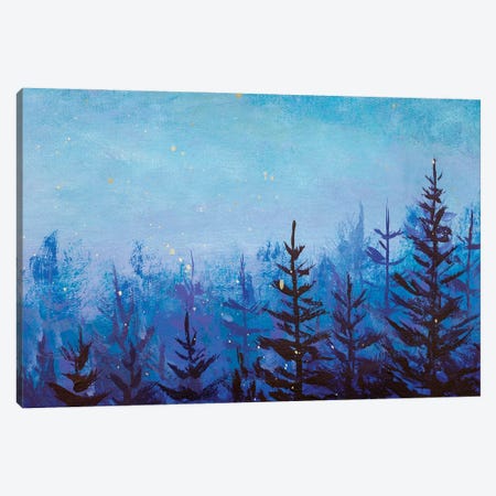 Dark Fir Trees In A Foggy Magical Forest Canvas Print #VRY545} by Valery Rybakow Canvas Artwork