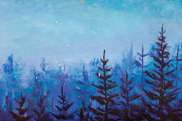 Night Sky: Dark Fir Trees In A Foggy Magical Forest by Valery Rybakow