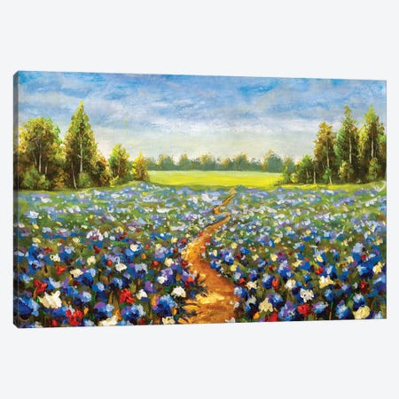 Road Through The Flower Field Canvas Print #VRY551} by Valery Rybakow Canvas Artwork