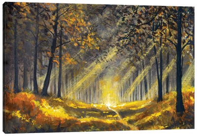 Spring Summer Sunny Forest Park Canvas Art Print - Valery Rybakow