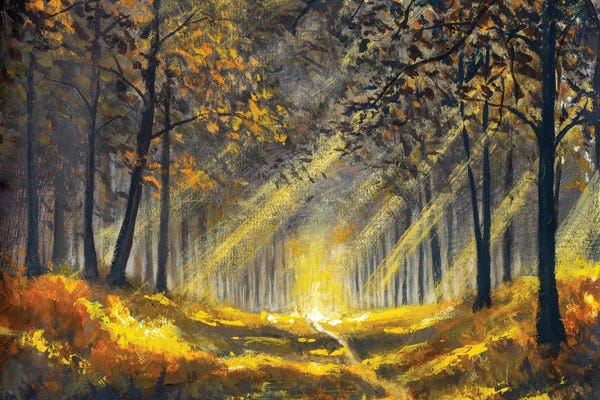 Valery Rybakow: Spring Summer Sunny Forest Park by Valery Rybakow