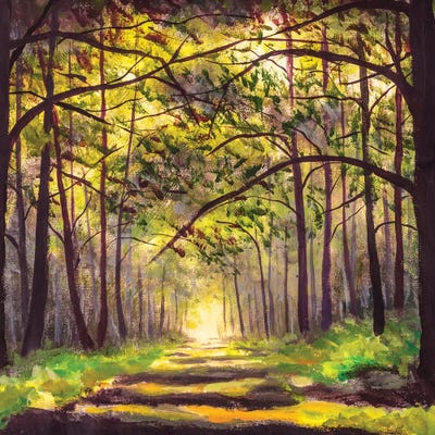 A Sunny Footpath by Valery Rybakow canvas print
