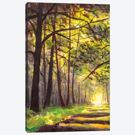 Sunlight Park Alley Forest Rural Landscape Canvas Print #VRY558} by Valery Rybakow Canvas Art