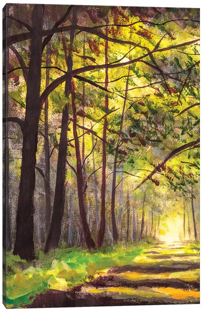 Sunlight Park Alley Forest Rural Landscape Canvas Art Print - Valery Rybakow