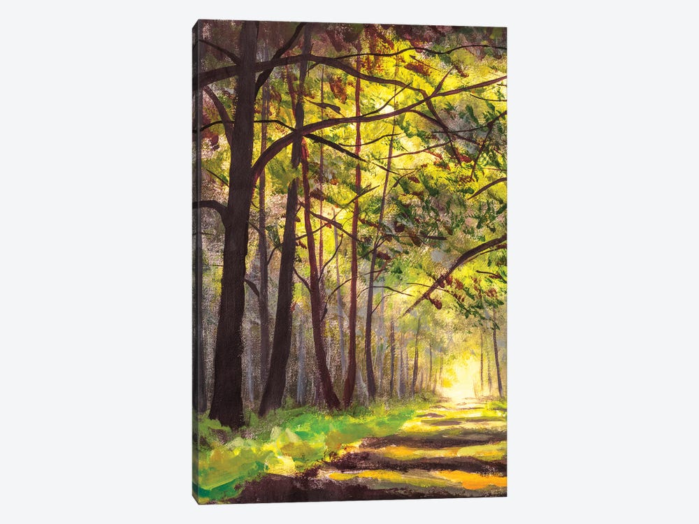 Sunlight Park Alley Forest Rural Landscape by Valery Rybakow 1-piece Art Print