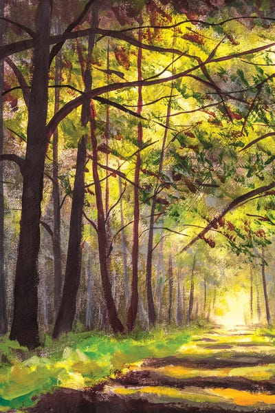 Trails, Paths & Roads: Sunlight Park Alley Forest Rural Landscape by Valery Rybakow