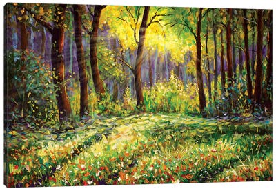 In Sunny Forest Canvas Art Print - Artists Like Van Gogh
