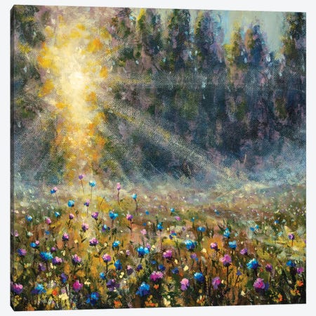 Meadow At Dawn Canvas Print #VRY570} by Valery Rybakow Canvas Artwork