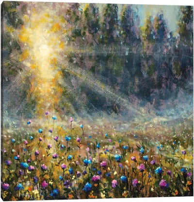 Meadow At Dawn Canvas Art Print - Valery Rybakow